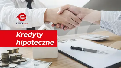 Efektkredyt S.C. Agnieszka Stasicka, Wojciech Kubica